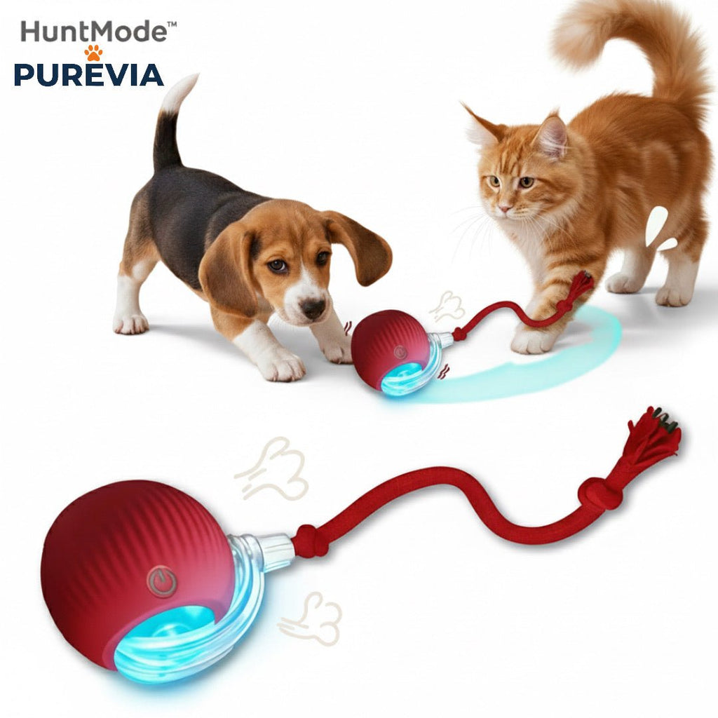 HuntMode™: Automatic Tail - Chasing Smart Ball - purevia