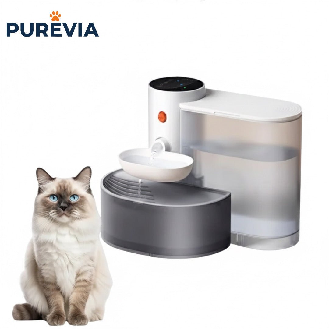 PureFlow: Your Pet’s Daily Joy™ 🐾 - purevia