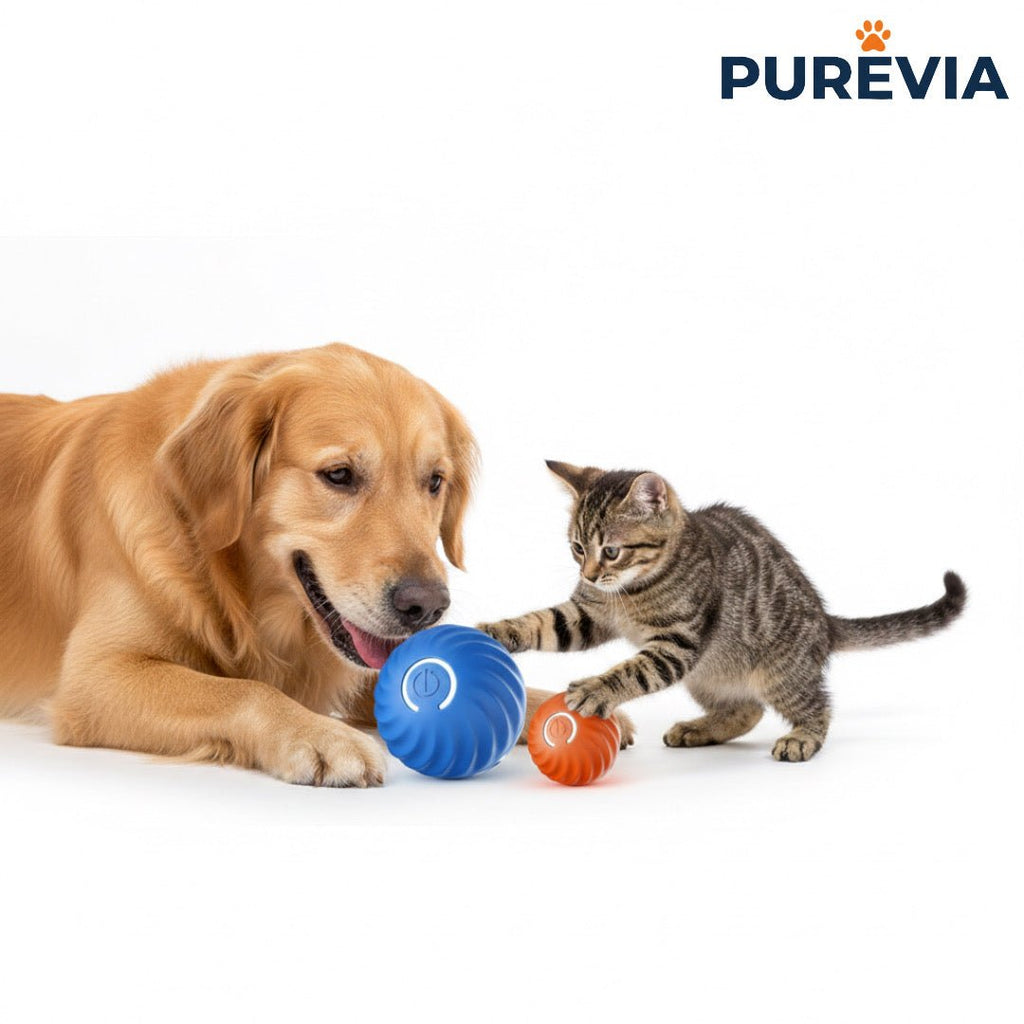 SmartBounce™: Interactive Auto - Moving Fun - purevia