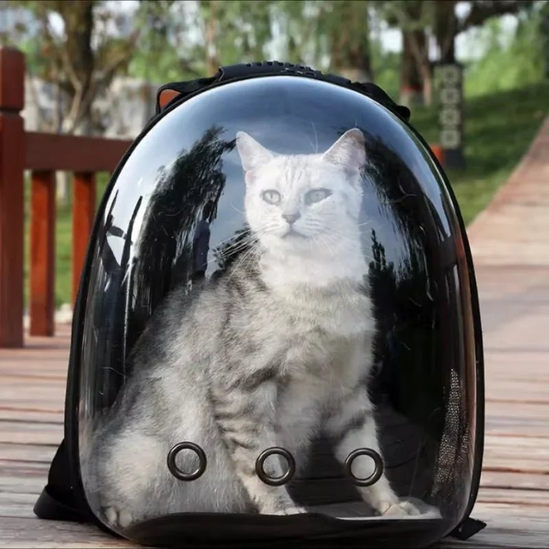 Space Capsule Explorer™: Their Window to the World 🐾 - purevia